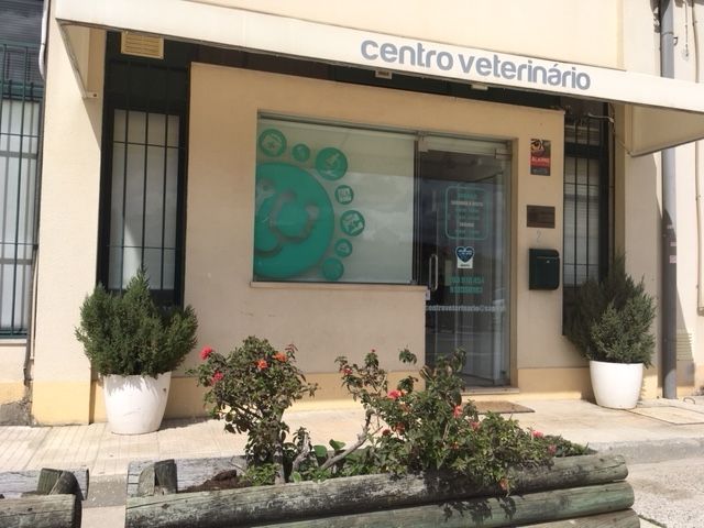 Centro Veterinário de Arruda dos Vinhos