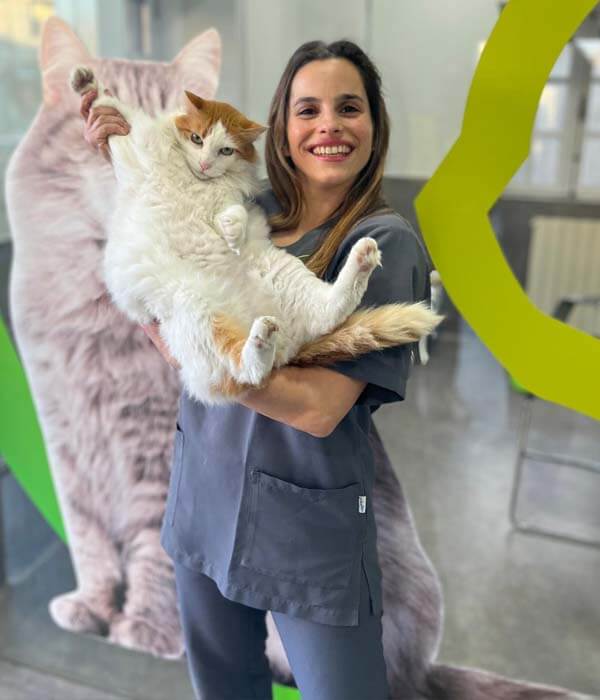Clínica Veterinária de Celeirós