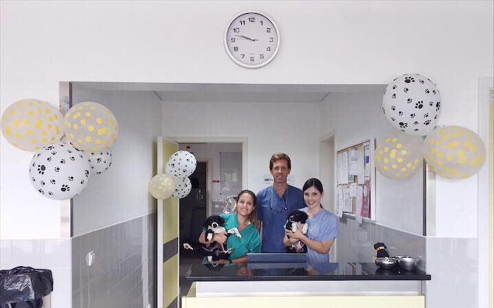 Clínica Veterinária de São Miguel