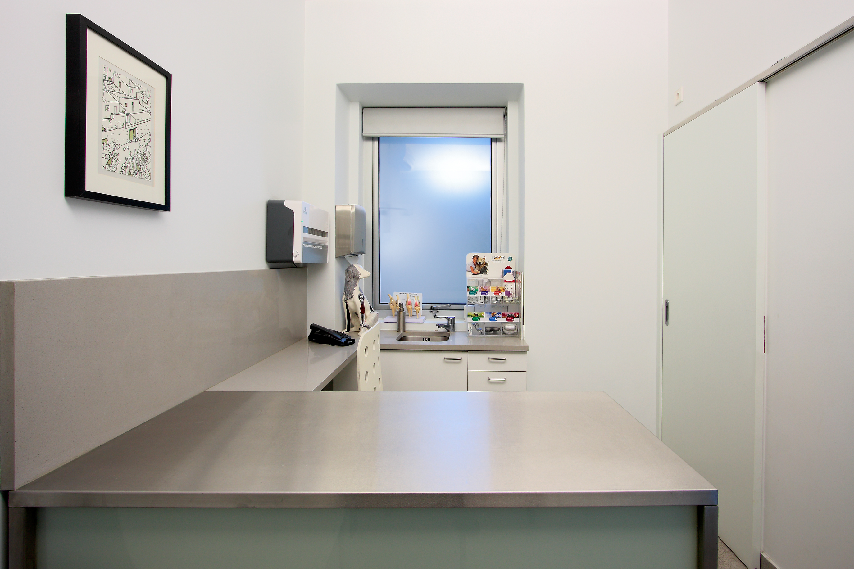 Clínica Veterinária de Serralves