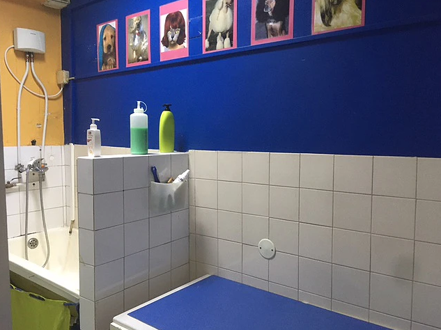 Clínica Veterinária do Cacém