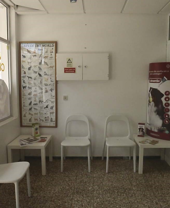 Clínica Veterinária Jabutivet