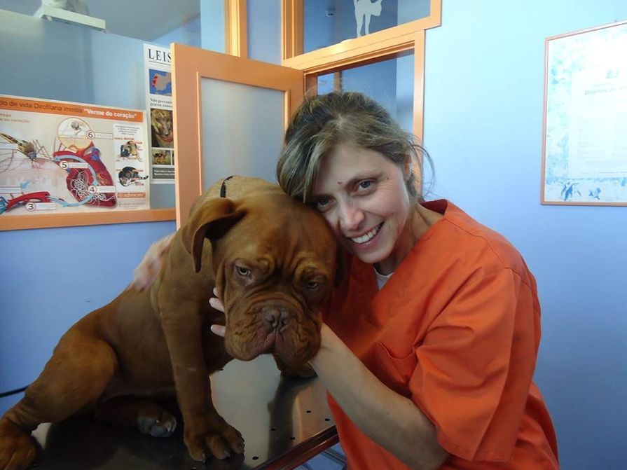 Clínica Veterinária Luisa.Vet