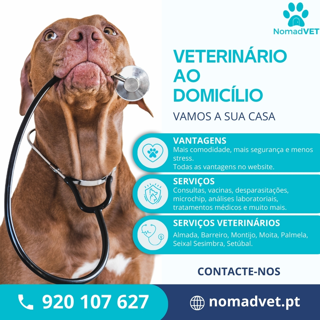 Nomadvet