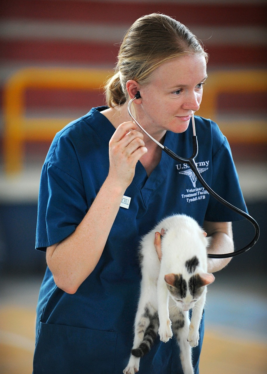 Vet Plus-Clínica Veterinária