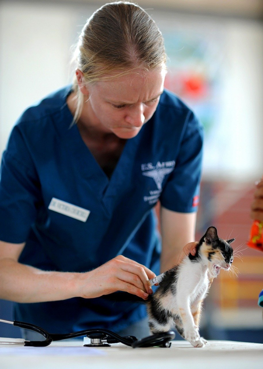 VetDom - Serviços Veterinários ao Domicílio